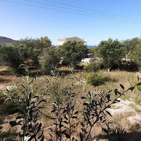 Detached House In Quiet Olive Grove, Starlink Internet & Smart Projector! 度假居 *