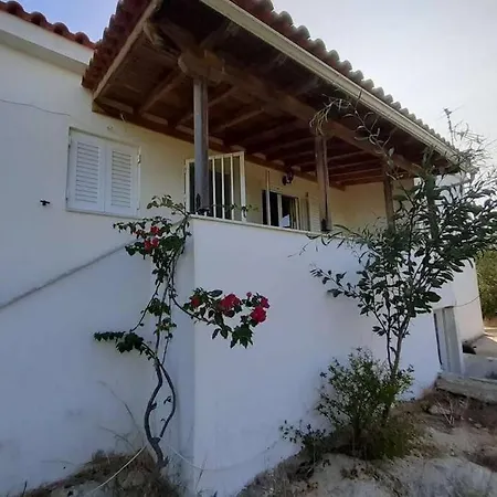 Detached House In Quiet Olive Grove, Starlink Internet & Smart Projector!