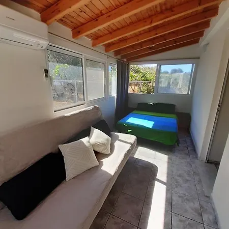 Detached House In Quiet Olive Grove, Starlink Internet & Smart Projector!